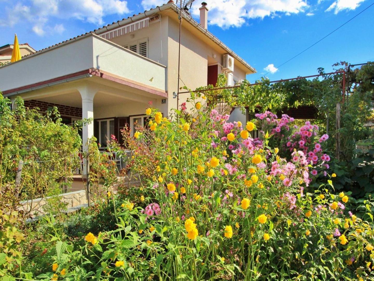 Apartments Dragica سيلو المظهر الخارجي الصورة